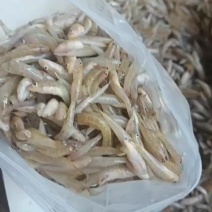 小黄鱼，纯野生，非常漂亮，**抢手，要的赶紧