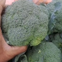 酉三花