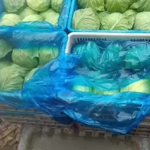 山东齐河县华店镇的精品甘篮大量上市了，质量好价格美丽，