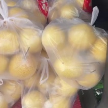 雪花梨价格实惠货源充足有意者请联系我