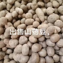 出售山药豆，大豆9毛8，中豆，2毛8，量大更优惠，