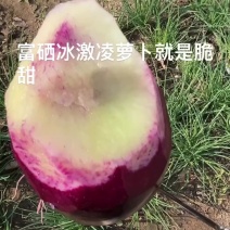富硒精品冰激凌萝卜