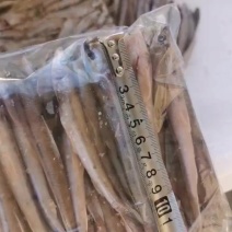 棍子鱼船丁鱼
