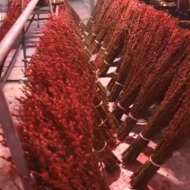 银柳年宵花