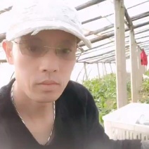 天津老味沙窝萝卜