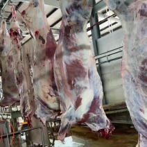 黄膘牛肉