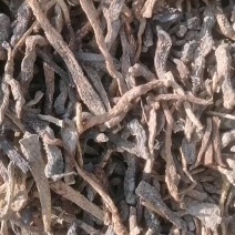需要药厂肉苁蓉的联系一公斤32