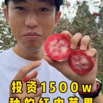红心红肉苹果水果应季酸甜阿克苏红肉富士非冰糖心一整箱代发