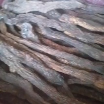 需要新疆肉苁蓉的联系我***********