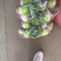水果萝卜心里美红皮大量上市需要老板可以联系