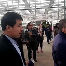 嫁接、直播西瓜、甜瓜苗大量上市，有需要的朋友和我联系！