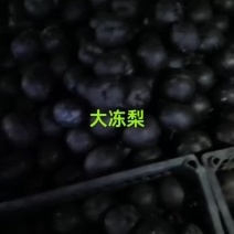 东北冻苹果梨
