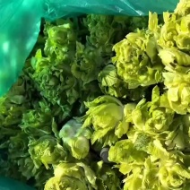儿菜