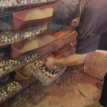 每天都是新鲜的，营养价值高