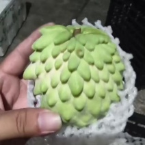 释迦果
