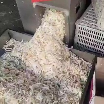 羊蛋皮丝，熟的