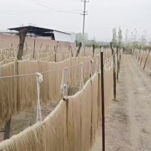 【禹州粉条厂】木薯粉条产地厂家直发禹州粉条支持视频看货