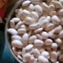 白芸豆（生长于海拔3300米以上的滇藏高原地区）