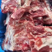 多肉猪小排！电商专用！只要180一件！