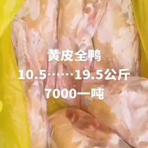 精品黄皮全鸭，一级干货，规格齐全，厂家直接，超低价格