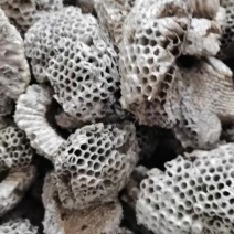 蜂房小眼蜂房现货批发