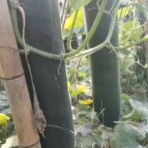 有需要的老板联系我