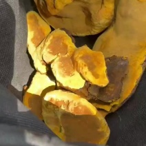 药韵天成桑黄中药材/菌藻类！！！！！！！！