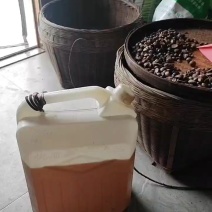 广西山茶籽油纯压榨油，无任何添加，**绿色食品