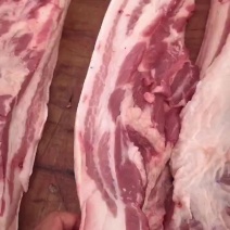 土猪肉大量接单，批发价格白条量大从优质量保证欢迎咨询