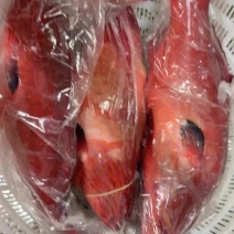 花面斑
