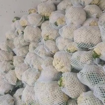 松花