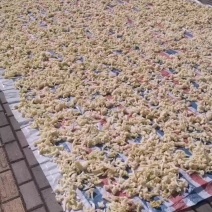 地方特色秦岭味道手工太阳嗮菜花干，特价热销中