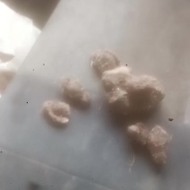 中药材紫莼