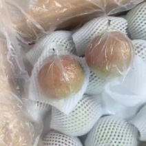 玉露香梨个大皮薄肉多汁甜口感翠