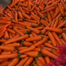 精品胡萝卜支持各种规格各种包装质量保证