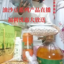 新疆油砂豆虎坚果