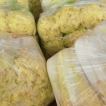 黄丫菜