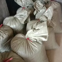 无仔刺梨，货源充足全国发货，量大从优，欢迎致电