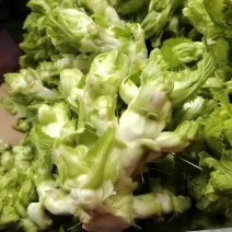 儿菜