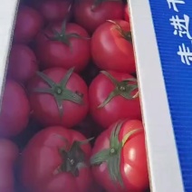 精品西红柿