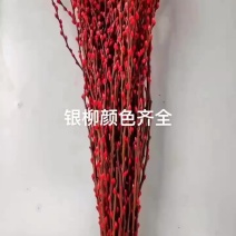 银柳年宵花