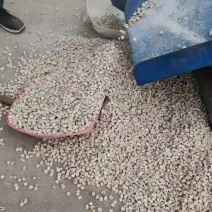 无硫葛根丁