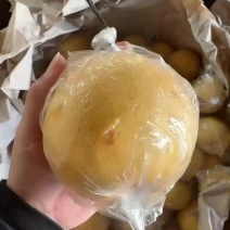 雪花梨鸭梨都便宜了