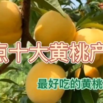 清仓】新鲜黄桃罐头当季新日期即食玻璃瓶装水果杨桃罐头破损包赔