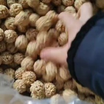 山药荞麦球一件10斤装口味好