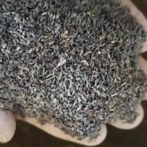 柴胡种子