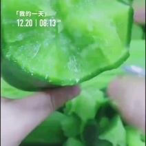 沙窝萝卜批发，团购，一件代发。