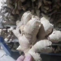各种烘干大姜