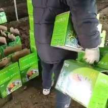 现拔现发