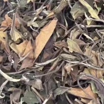 福鼎白茶寿眉20年包邮